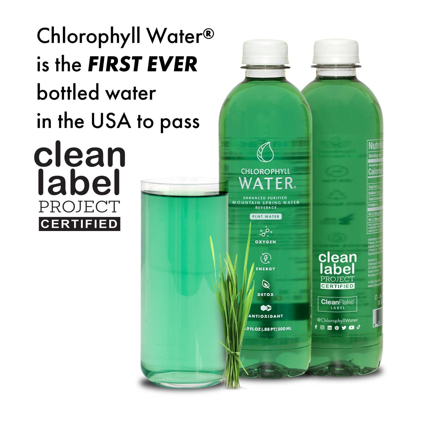 Chlorophyll Water® Purified Mountain Spring Water + Vitamins